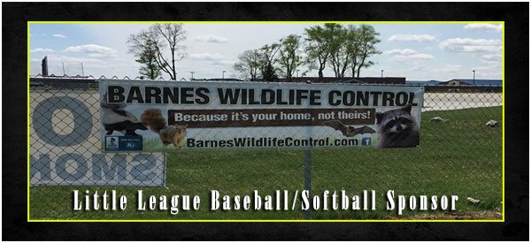 Dayton Animal Removal Services is a Little Leagur Baseball/Softball sponsor